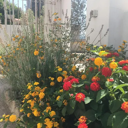 A Casa Di Zia فندق مبيت وإفطار