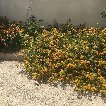 Bed and breakfast A Casa Di Zia